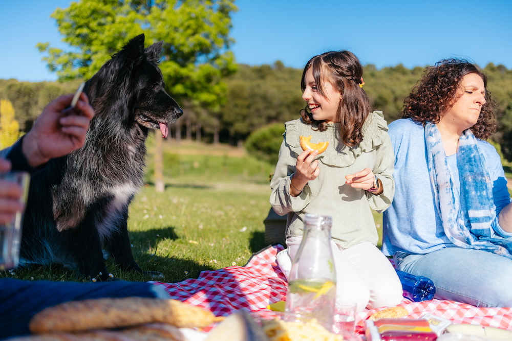 Latitude South Coast: family enjoying dog-friendly picnic.