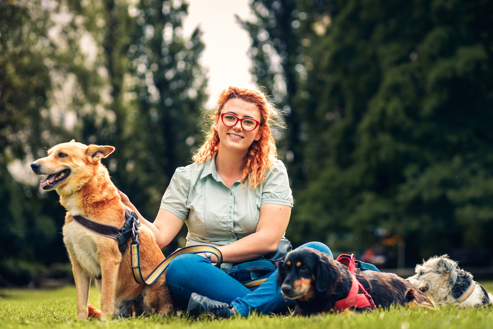 Latitude South Coast: Pet-sitting and dog walking services in the Shoalhaven.